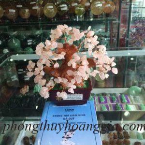 Cây Tài Lộc Thạch Anh Hồng MSP:CTLB01