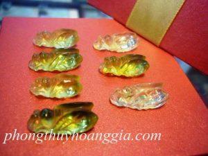 Ve Sầu Thạch Anh Vàng MSP: