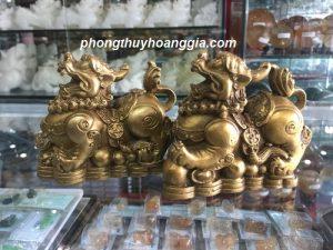 TỲ HƯU ĐỒNG MSP: THĐO141860