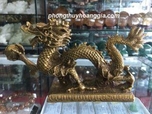 RỒNG ĐỒNG TRẤN SÁT MSP:R21