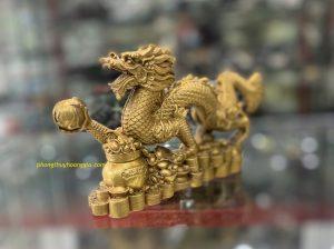 RỒNG ĐỒNG TRẤN SÁT MSP: R1260