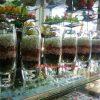 binh-thach-anh-ngu-sac-cat-tuong-thuy_msp4433-1465887364