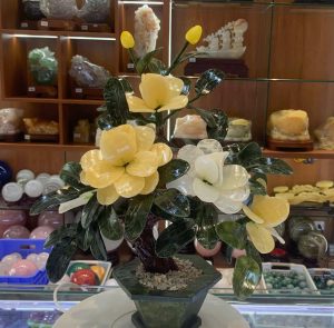Cây Hoa Đá Phong Thủy 5 Bông